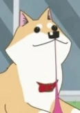 Itoshi no Muco